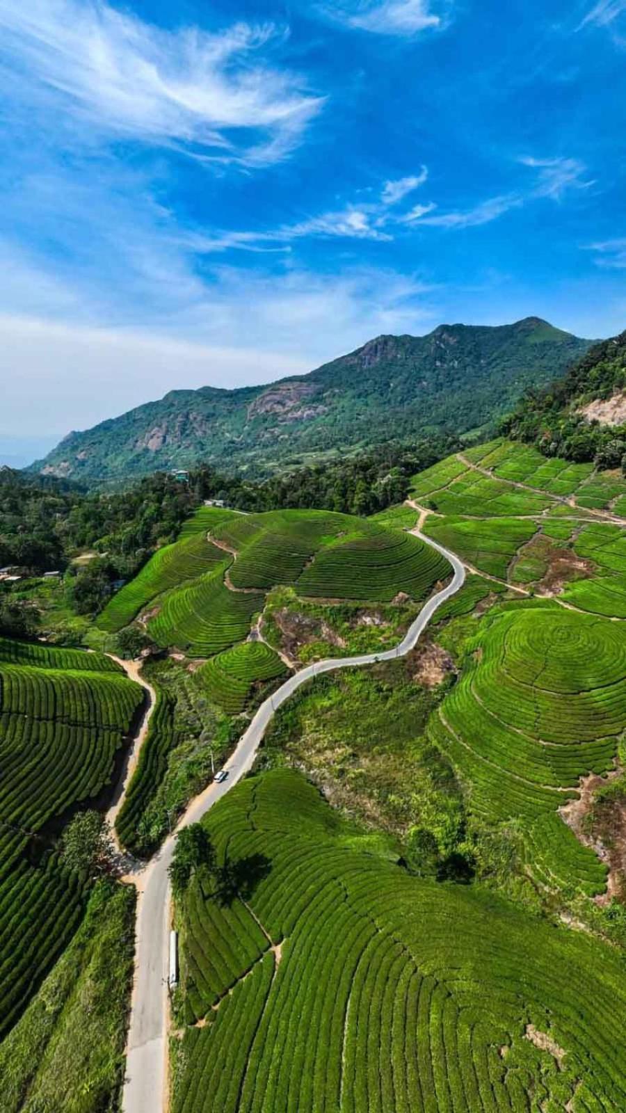 Suncity Munnar